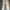 Dickies Casual Other Pria cream photo 1