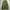 Basic Cargo Parasut Green Army