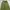 Basic cargo parasut green army photo 4