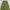 Basic cargo parasut green army photo 6