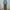 Basic cargo parasut green army photo 1