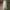 Minimalist Shoulder bag Wanita green photo 5