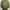 No Brand Parka photo 1