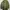 No Brand Parka photo 2