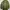 No Brand Parka