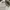 NOT ZARA STRADIVARIUS PULL AND BEAR MANGO BERSHKA photo 5