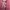 Sweater Sherpa Pink photo 3