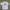 Vtg Jersey White - By Umbro