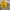 Sendal Havaianas baby brasil flip flops photo 6