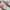 PUMA PALERMO GREEN PINK photo 2