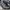 SALOMON XT6 GORE-TEX photo 2