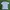 Polo Shirt Adidas Golf Pria Baju Golf Pria Kaos Golf Adidas photo 1