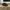 Clarks Casual Sneakers Pria brown photo 2