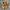 Nike Y2K Casual Sneakers Pria tan brown photo 1