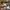 Tayban justin gradient photo 7