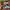 Tayban justin gradient photo 1