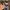 Tayban justin gradient photo 4