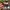 Tayban justin gradient photo 6