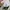 Converse 70’S High photo 7