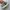 New Balance 1906L photo 4