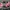 Vintage Streetwear Hat Pria black photo 2