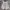 Salomon Streetwear Vest Pria silver white photo 5