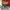 CONVERSE 70s Digital Terrain photo 7