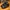 Adidas Neo VS Set Mid Black Gold photo 2