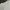 Foxquinn - Uju top atasan knit top blouse wanita Warna creme photo 5