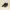 Sepatu Zara Minimalist Slip On Running Shoe photo 2