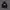 Hoodie DICKIES photo 1