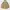 Java work active jacket khakis alternatif carhartt unisex photo 2