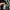 Karl Lagerfeld Paris Women shorts sleeve photo 8