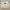 Fruit of the Loom Vintage Sweatshirt Pria gray photo 1