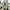 Vans rowley XLT beige photo 6