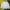 Mizuno Sportswear Windbreaker Pria white photo 2