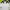 Mizuno Sportswear Windbreaker Pria white photo 3