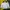 Mizuno Sportswear Windbreaker Pria white photo 1