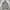Japnese Zip Hoodie Art Sukajan