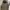 VINTAGE VEST CARHARRT GOODCONDITIONS photo 7