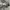 Dickies Casual Casual pants Pria tan photo 4