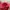 Topi Cap Vondutch Ripped Pink  photo 5