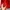 Pull & Bear Minimalist Casual Wallets & purse Wanita red photo 4