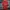 New Balance Sportswear Jersey Pria red photo 1