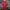 New Balance Sportswear Jersey Pria red photo 6