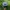 TOPI BUD LIGHT TRUCKER HAT photo 3