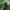 TOPI BUD LIGHT TRUCKER HAT photo 1