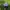 TOPI BUD LIGHT TRUCKER HAT photo 2