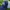 TOPI BUD LIGHT TRUCKER HAT photo 4