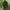 TOPI BAND TWENTY ONE PILOTS THRIFT SECOND photo 1